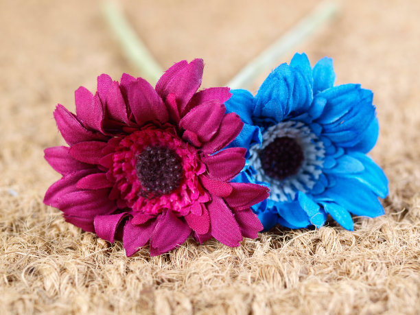 两种不同颜色的布花图片下载