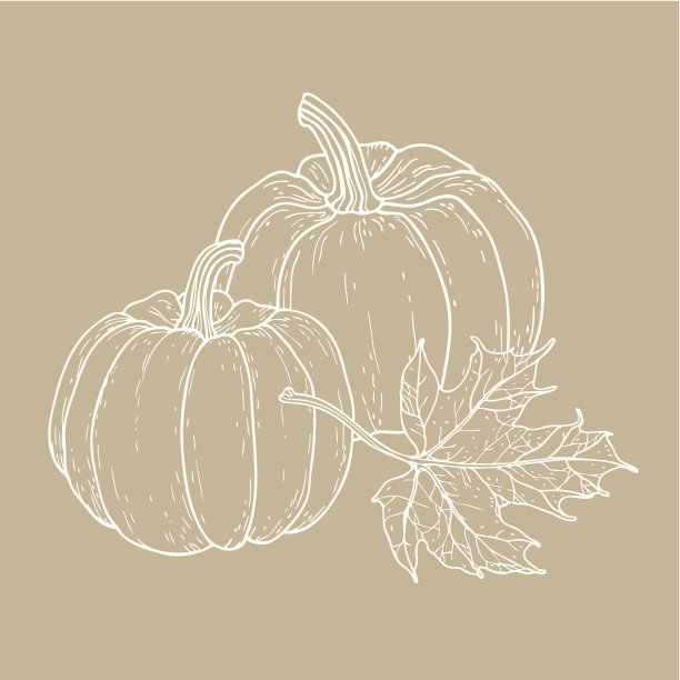 南瓜和枫叶。图片下载