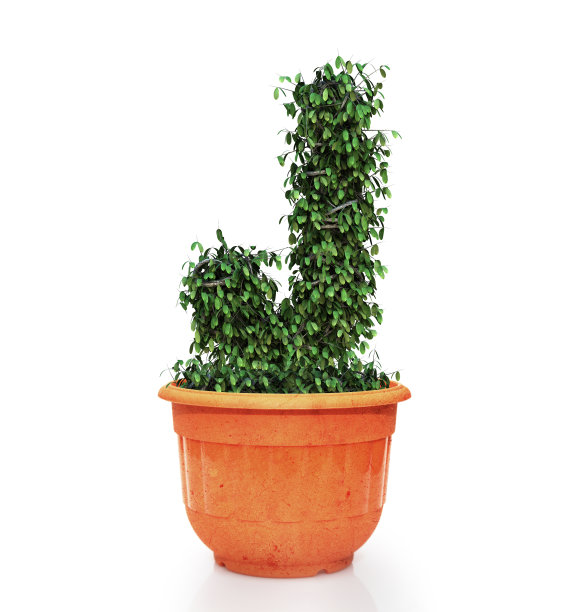 树字母j在锅图片下载