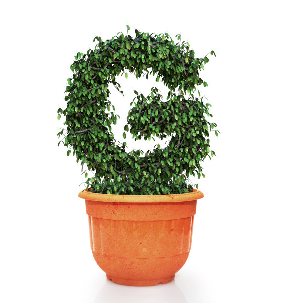 树字母g在锅图片下载