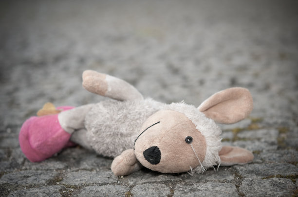 废弃的泰迪熊图片下载