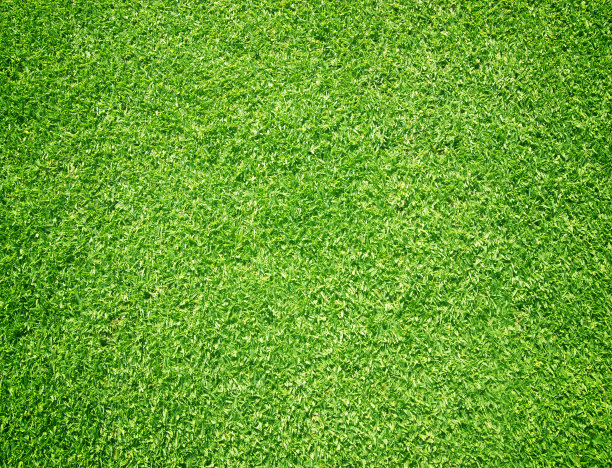 草地背景高尔夫球场绿色草坪图片下载