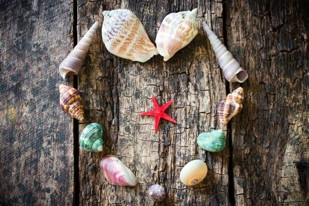 一颗心的贝壳、贝壳、海星放在一张木桌上图片下载