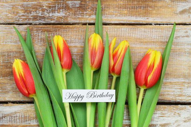 红色和黄色郁金香的生日贺卡图片下载