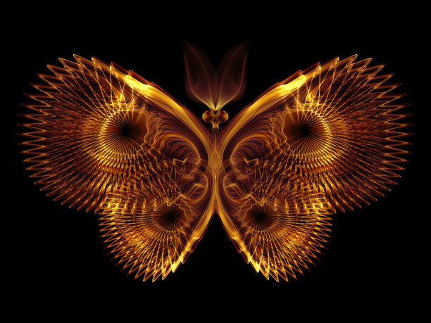 概念上的蝴蝶图片下载