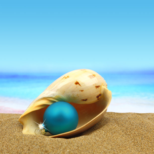 海滩上贝壳里的圣诞舞会图片下载