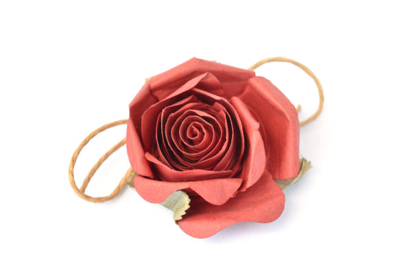 纸红玫瑰近图片下载