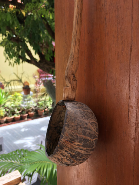 泰国长勺椰壳水勺图片下载