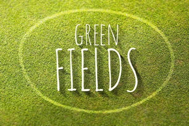 绿色的田野海报插图的自然图片下载