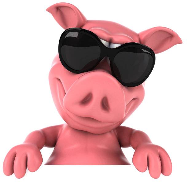 有趣的猪图片下载