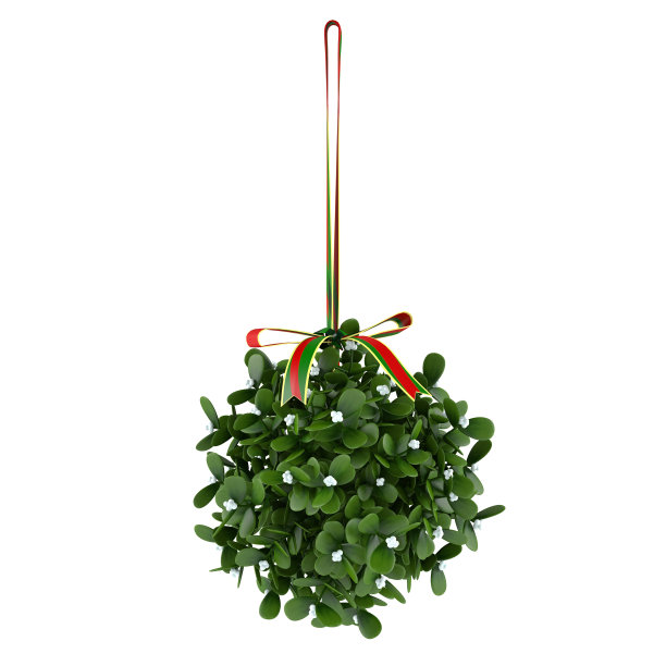 圣诞门装饰隔离图片下载