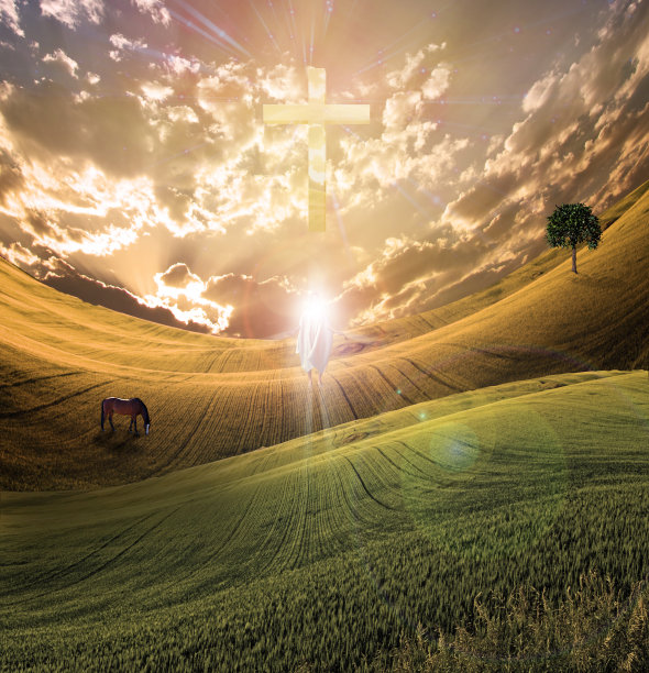 扭曲的场与天空交叉和闪光的白色图形图片下载