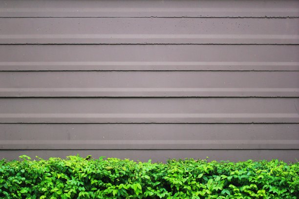 绿盒树篱与条纹混凝土墙背景图片下载