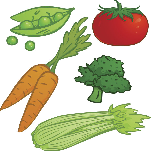 矢量蔬菜设置图片下载