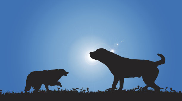 矢量剪影的狗。图片下载