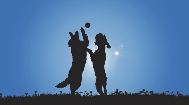 矢量剪影的狗。图片下载