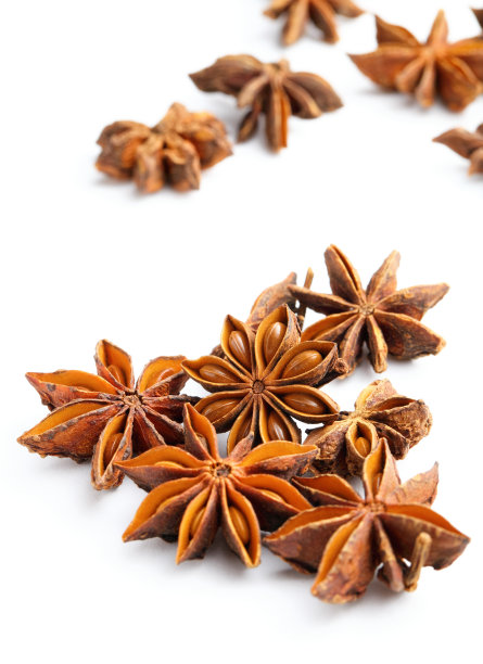 八角茴香图片下载