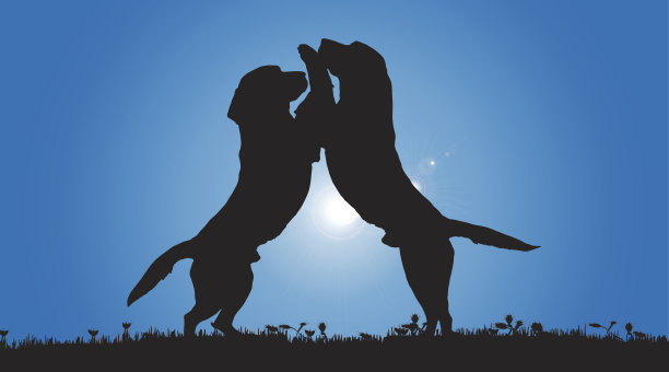 矢量剪影的狗。图片下载