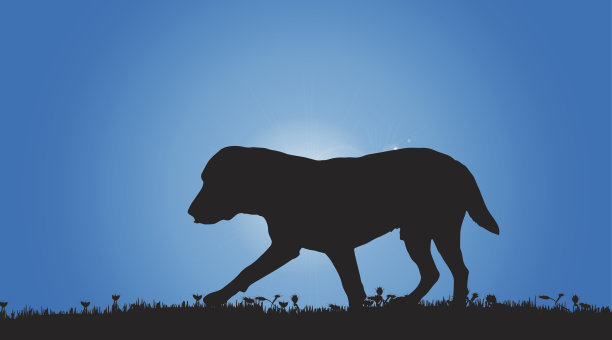 矢量剪影的狗。图片下载