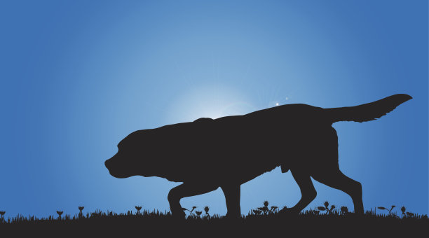 矢量剪影的狗。图片下载