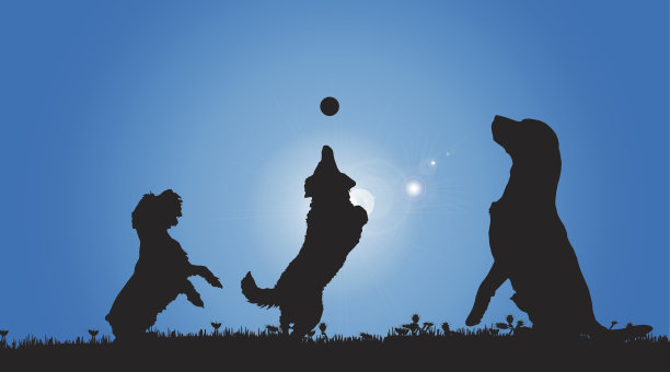 矢量剪影的狗。图片下载