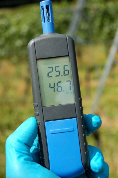 手持温湿表图片下载