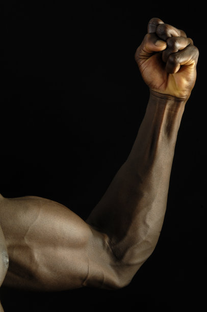 公二头肌图片下载