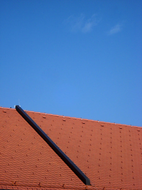 成分与行图片下载