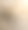 sanddollar特写镜头图片下载