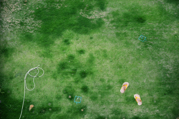 俯视图绿色后院与flip flop(放松概念)图片下载