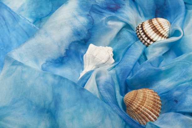 海蓝色丝织物，有贝壳。图片下载