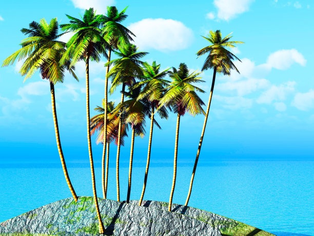 椰子林区图片下载