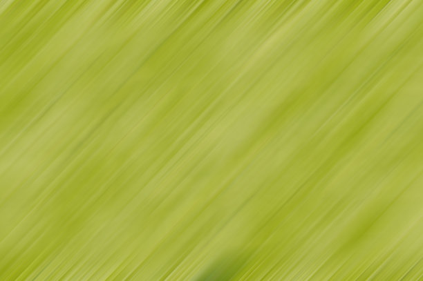 艺术绿色抽象背景图片下载