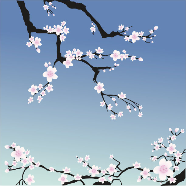 樱花框架图片下载