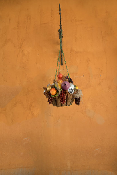 封闭的人造水果篮挂在墙上图片下载