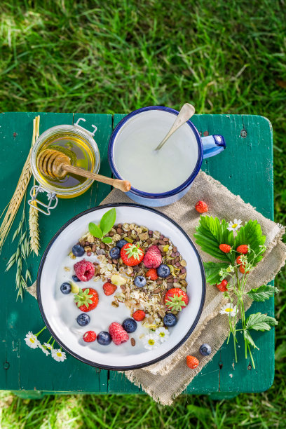 健康的格兰诺拉麦片配浆果和酸奶图片下载