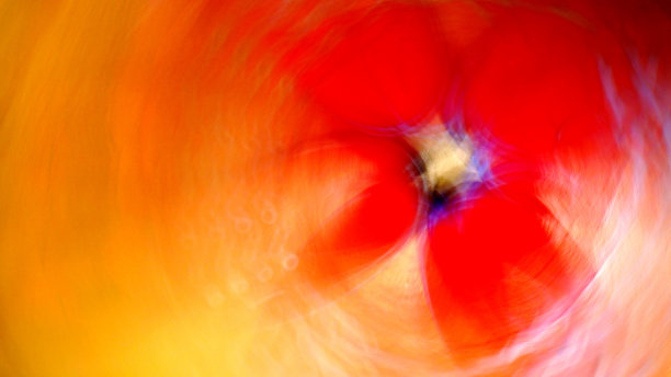 运动鞋花(相机旋转)图片下载