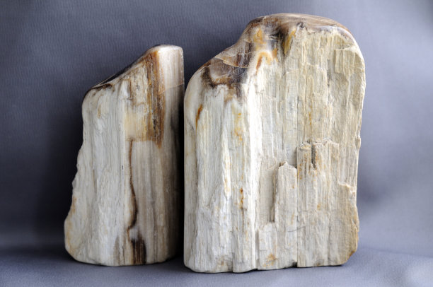 施泰纳雷斯·霍尔茨·海尔斯坦图片下载