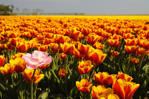 不合适的素材图片