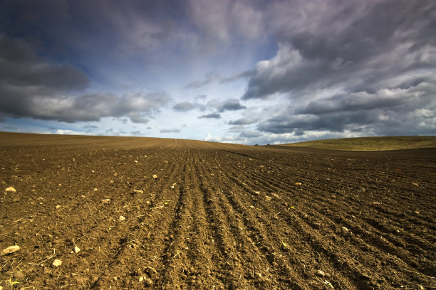 字段。图片下载