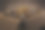 酒瓶装在盒子里图片下载