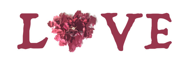 白色背景上的情书图片下载