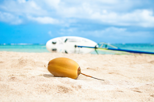 沙滩上的黄色椰子图片下载