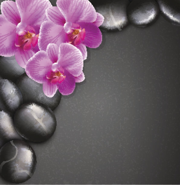 矢量温泉的背景与石头和兰花图片下载