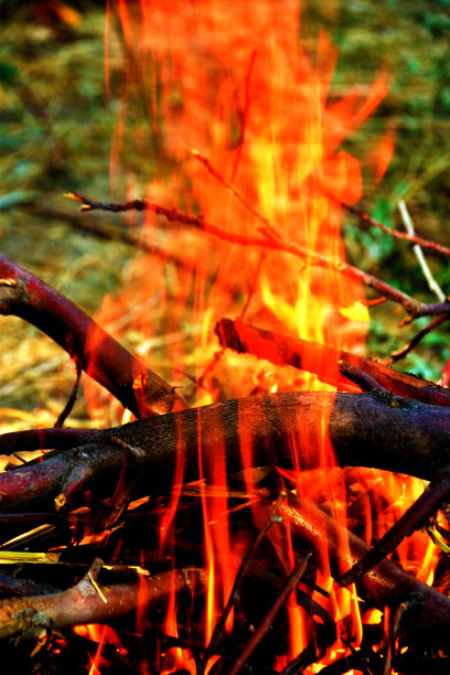 燃烧的木头图片下载