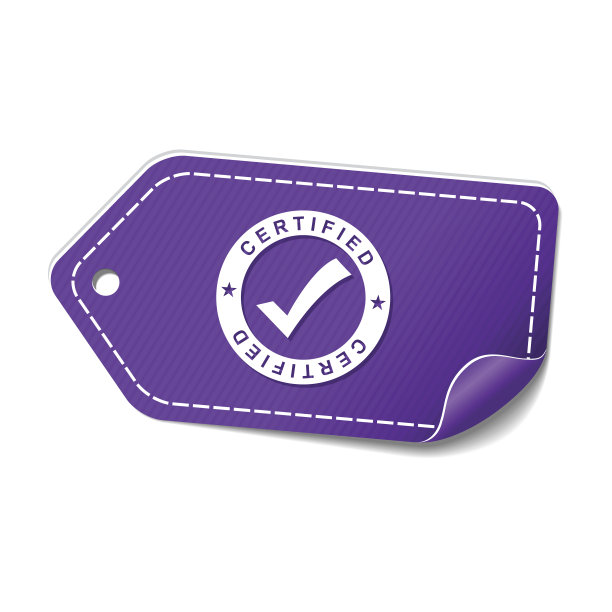 SSL保护紫色矢量图标设计图片下载