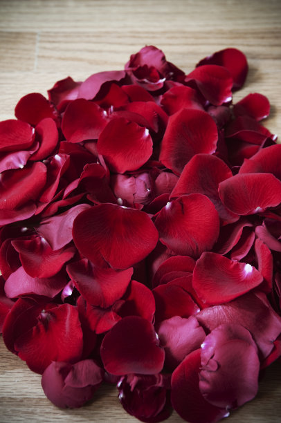 玫瑰花瓣图片下载