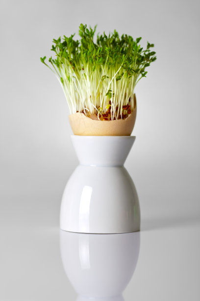 复活节图片下载