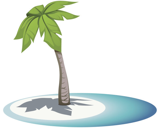 岛上有阴影的棕榈树图片下载