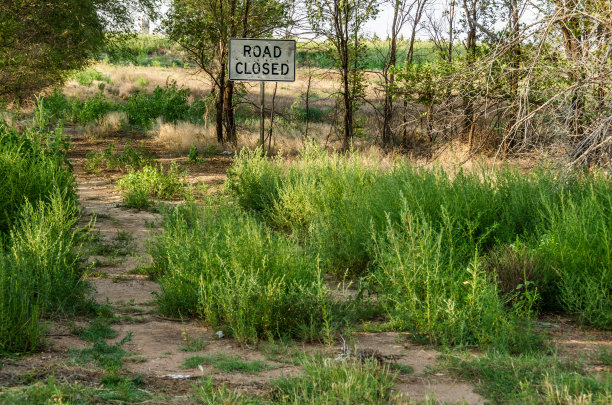 什么路?图片下载